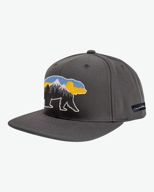 At The Mountains Flat Bill - Grey