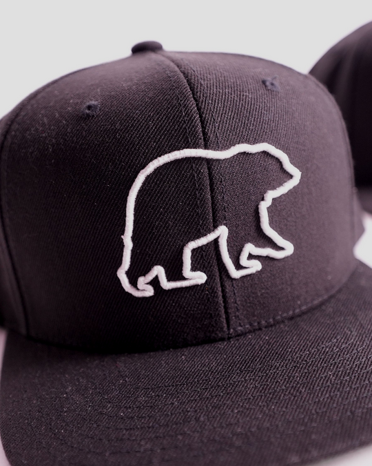 Everywhere 3D Flat Bill