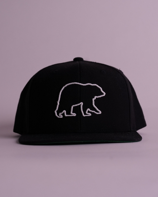 Everywhere 3D Flat Bill