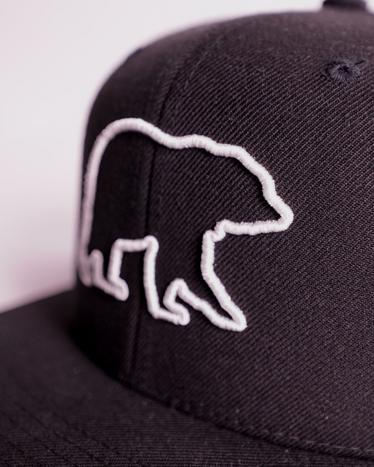 Everywhere 3D Flat Bill